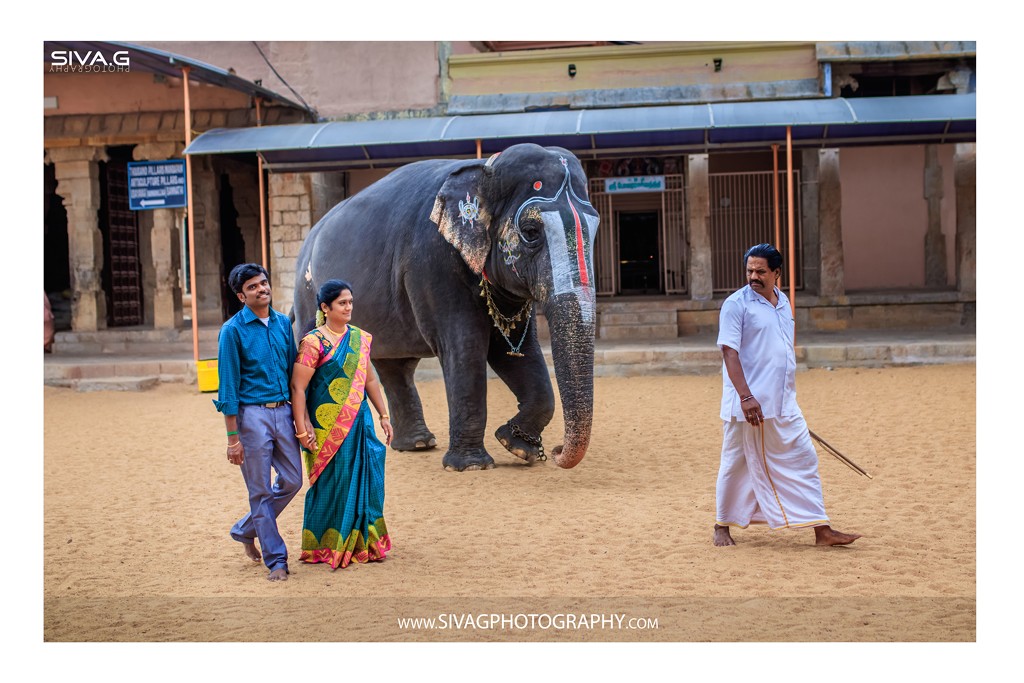 Candid Wedding PhotoGraphy Karur - Siva.G PhotoGraphy
